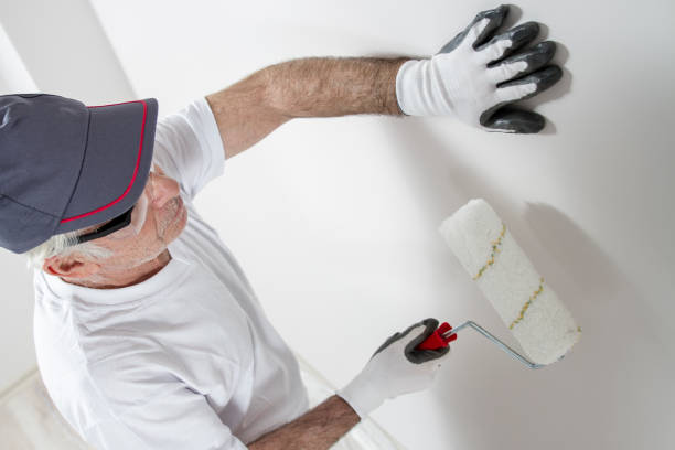 Best Drywall Sanding and Smoothing  in Pekin, IL