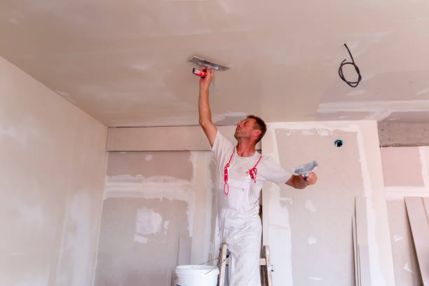 Best Fire-Damaged Drywall Repair  in Pekin, IL