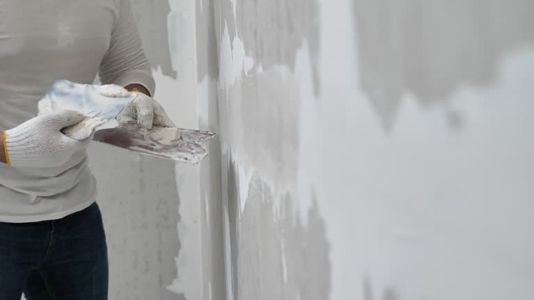 Best Drywall Texturing  in Pekin, IL